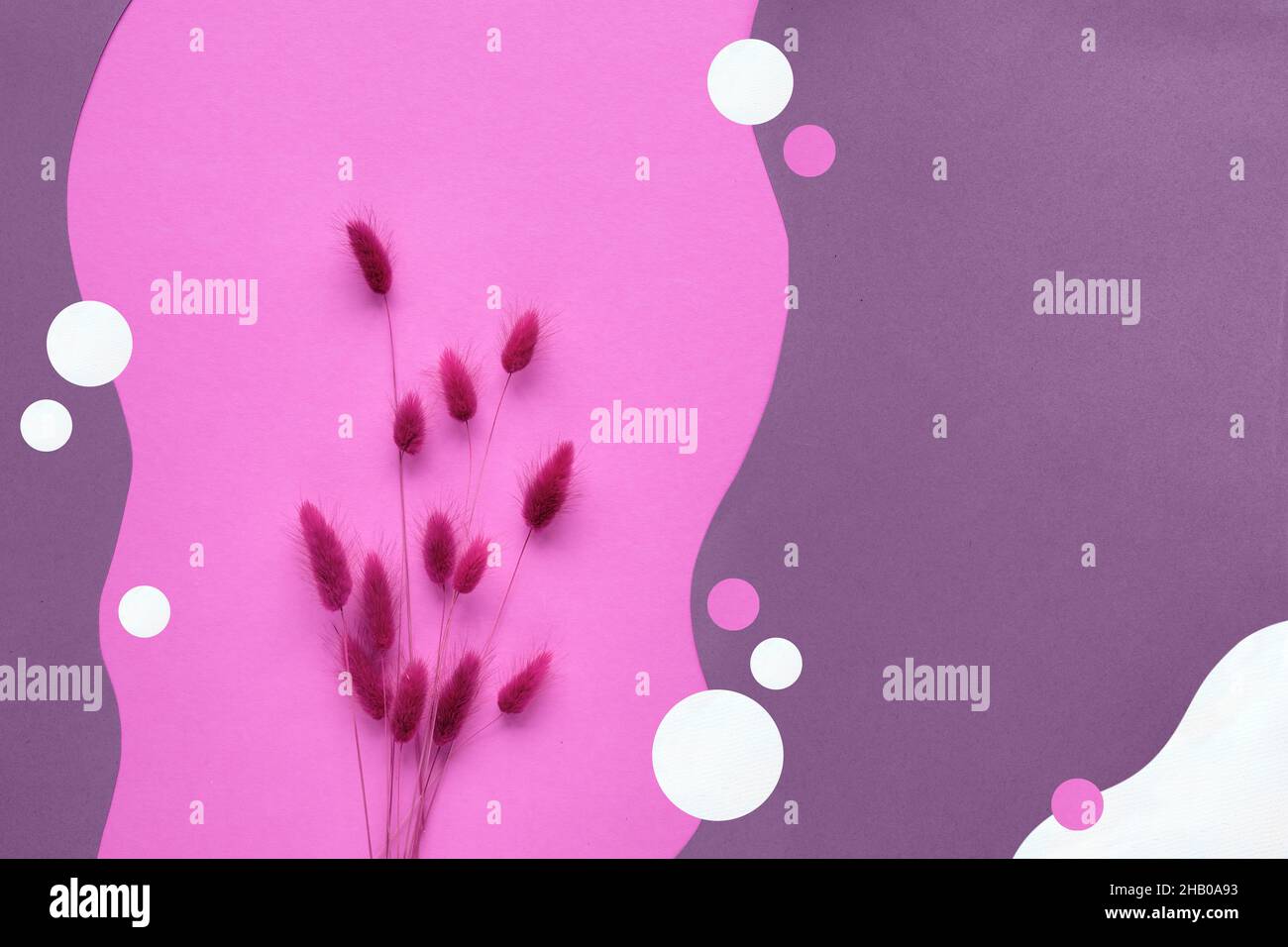 Arrière-plan en papier abstrait monochrome rose et magenta avec herbe de queue de lapin sèche et formes naturelles de papier biologique. Banque D'Images
