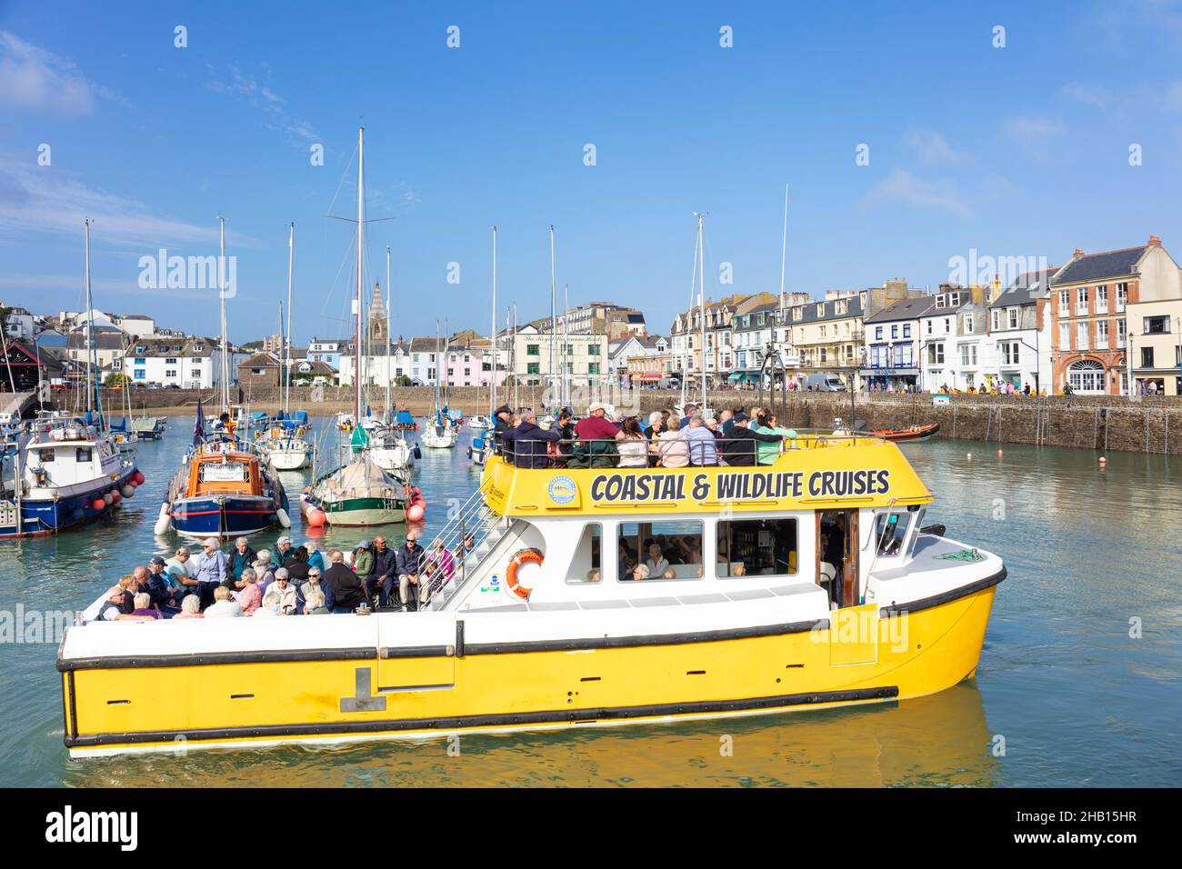 Un bateau de croisière côtière et de la faune dans le port dans la ville de Ilfracombe Devon Angleterre GB Europe Banque D'Images