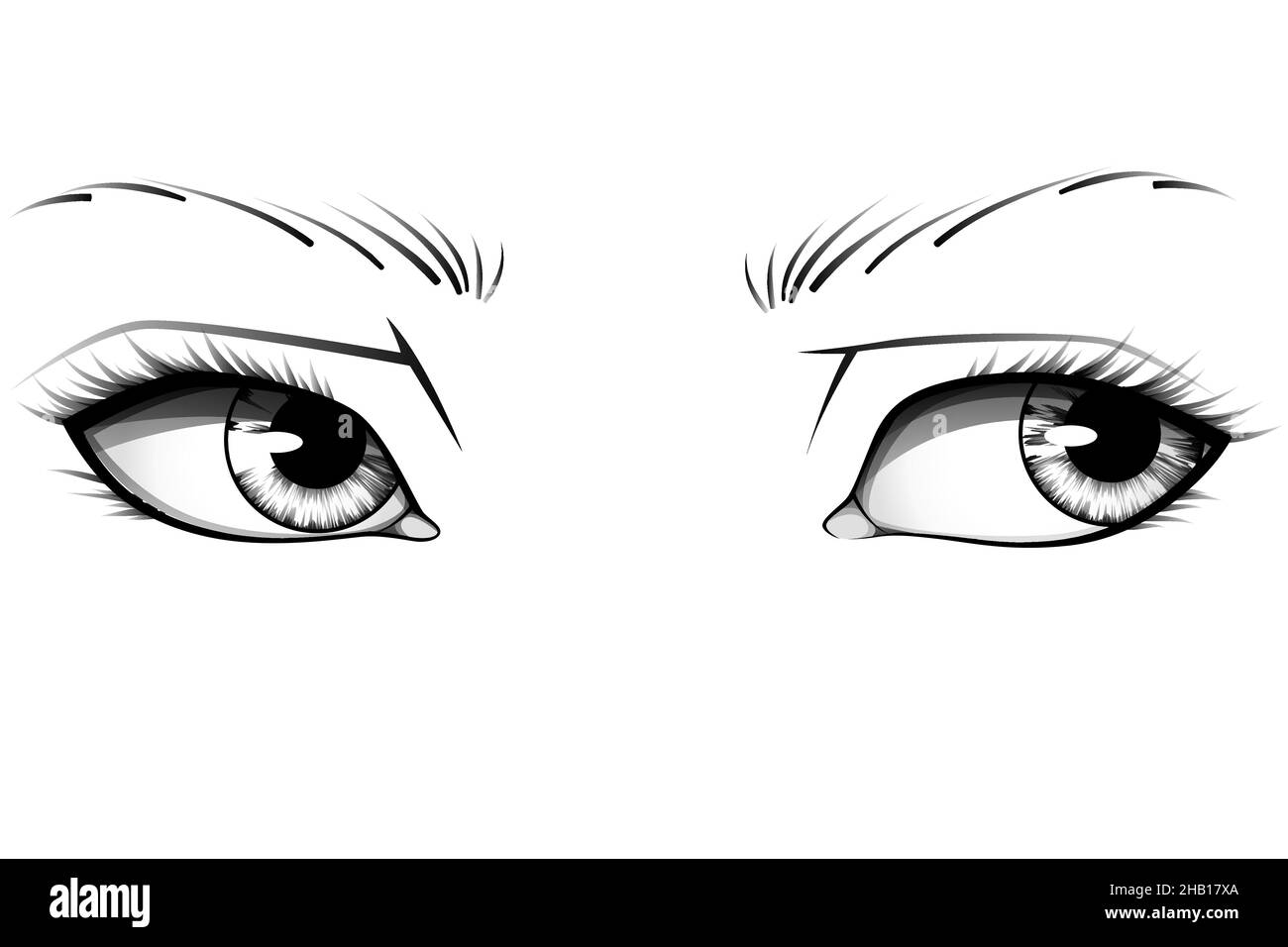 Les yeux de femme réalistes dessinés à la main avec des iris, des sourcils et des cils détaillés.Illustration de vecteur typographique Illustration de Vecteur