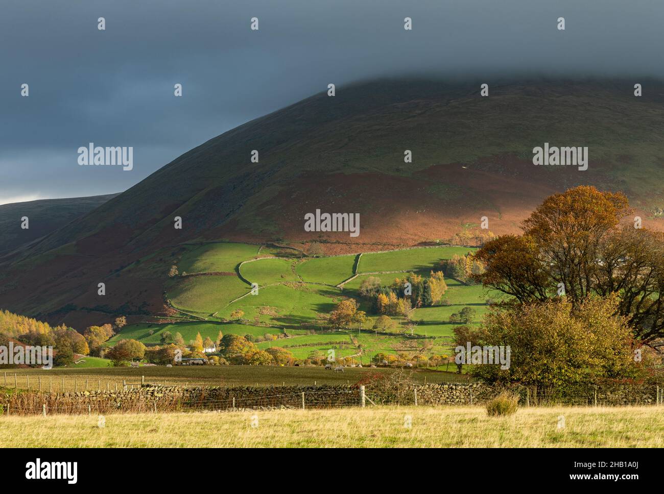 Blencathra, également appelé Saddleback Hill, dans le parc national de Lake District, début de matinée vue d'automne de Castlerigg, Cumbria, Angleterre, Royaume-Uni Banque D'Images