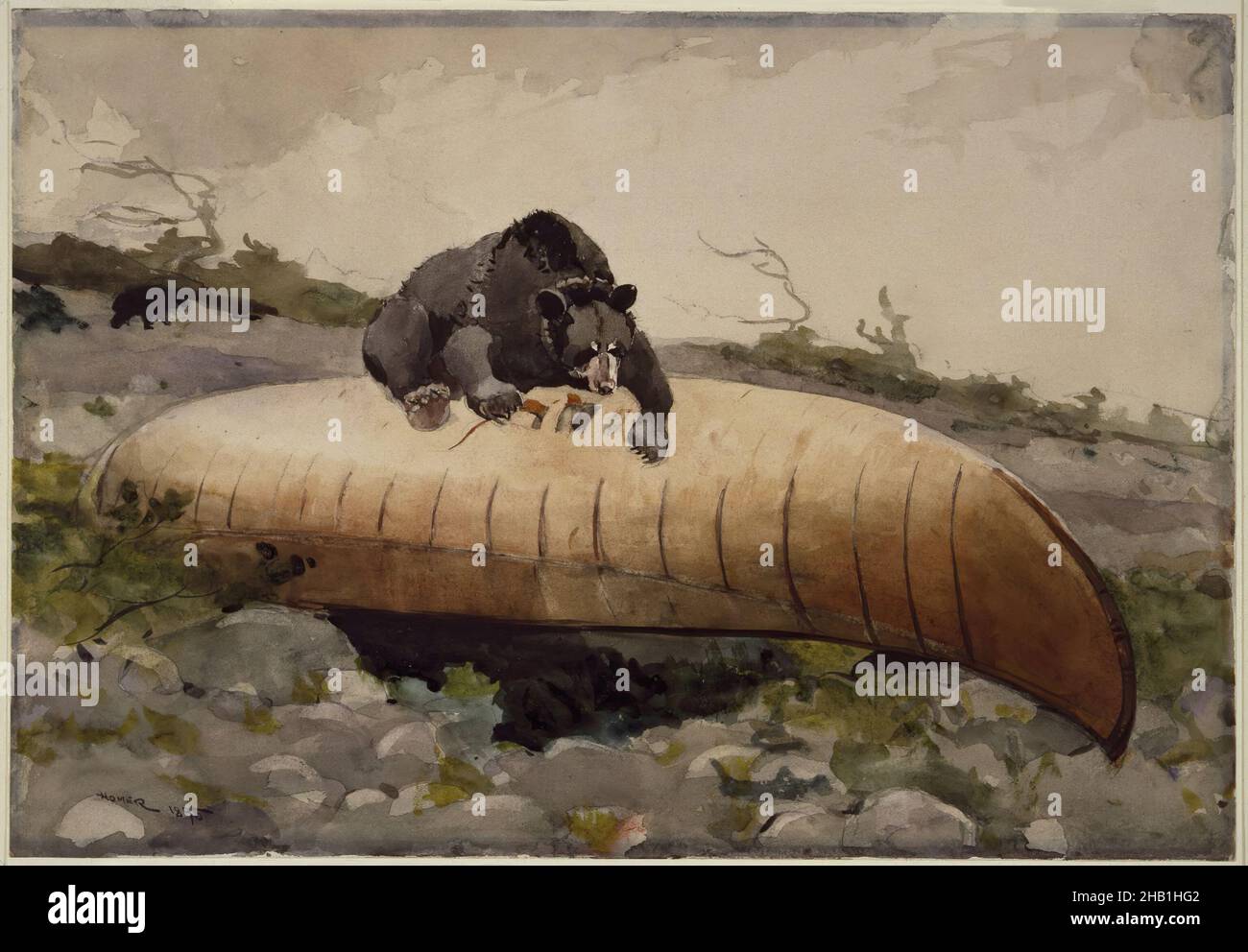 Bear and Canoe, Winslow Homer, cuisine américaine, 1836-1910, aquarelle avec des touches de vernis à la gomme sur le graphite sur la crème, modérément épais, papier vélin modérément texturé, 1895, 14 x 20 po, 35,6 x 50,8 cm, 1895, art américain, peinture américaine,aquarelle américaine, animal, ours, bateau, canoë,Drôle, graphite, vernis à gomme, Homer, IMLS,intrus, nature, rochers, scène rurale, rivage,Ciel, aquarelle, faune, Winslow Homer, papier vélin Banque D'Images