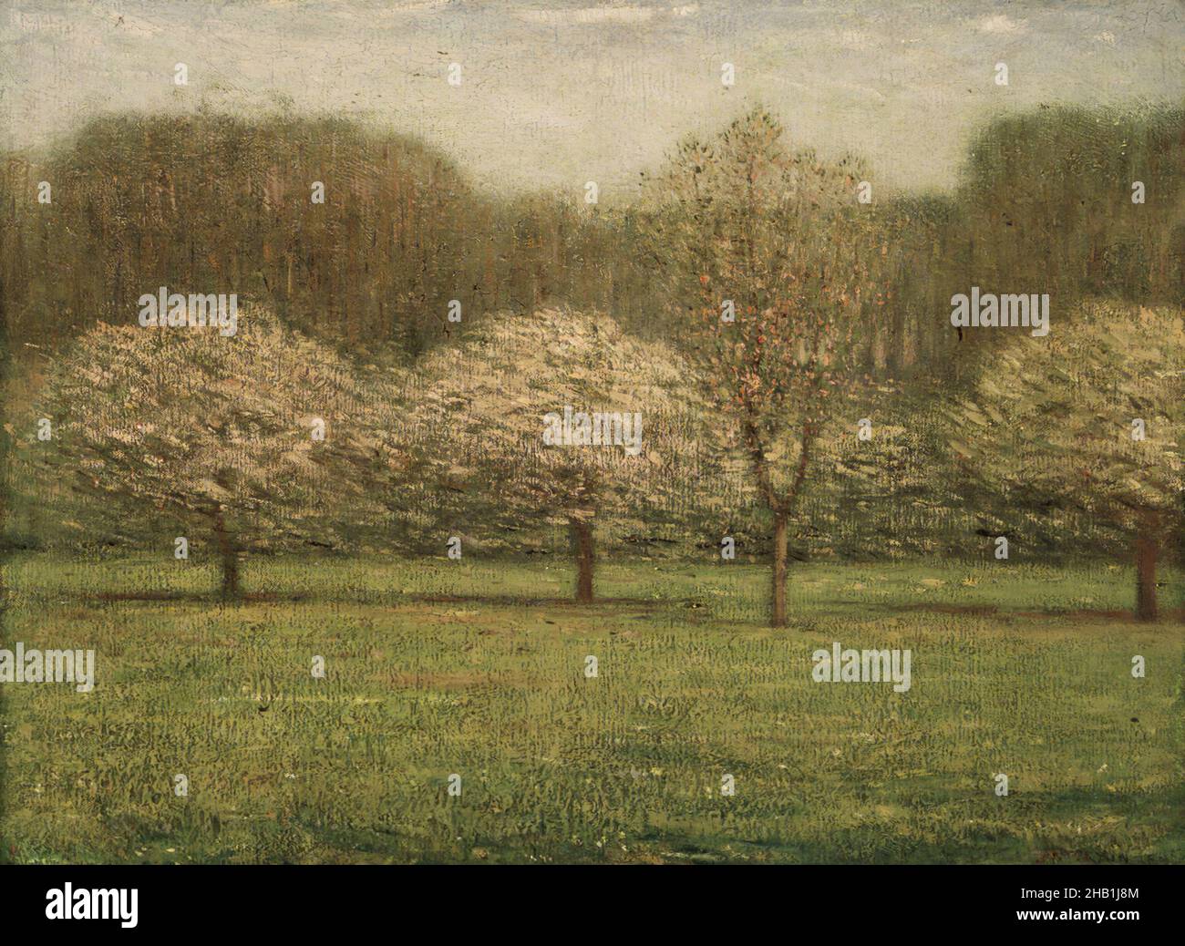 Fleurs de pomme, Dwight William Tryon, cuisine américaine, 1849-1925, huile sur toile,1895, 21 5/16 x 28 3/4 po, 54,2 x 73 cm, peinture américaine du siècle 19, artiste américain, impressionnisme américain, huile américaine, pomme,fleurs, champ, fleurs, fruits, herbe,Impressionniste, Paysage, art de la fin du 19th siècle, nature, ndd7, huile sur toile, peinture,paysage, plein air, pommier, printemps, arbres Banque D'Images