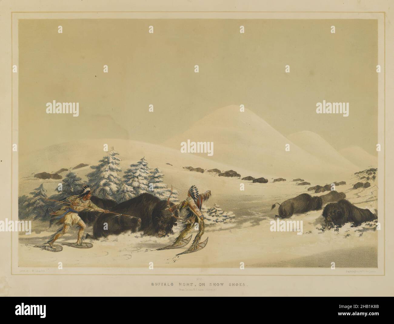 Buffalo Hunt, on Snow Shoes, George Catlin, cuisine américaine, 1796-1872,Lithographie sur papier de wove crème, 12 1/16 x 17 9/16 po., 30,6 x 44,6 cm, animaux, arc et flèche, buffle, mort,Collines, chasseurs, Indiens, Amérindiens, Old West,pins, neige, hiver Banque D'Images