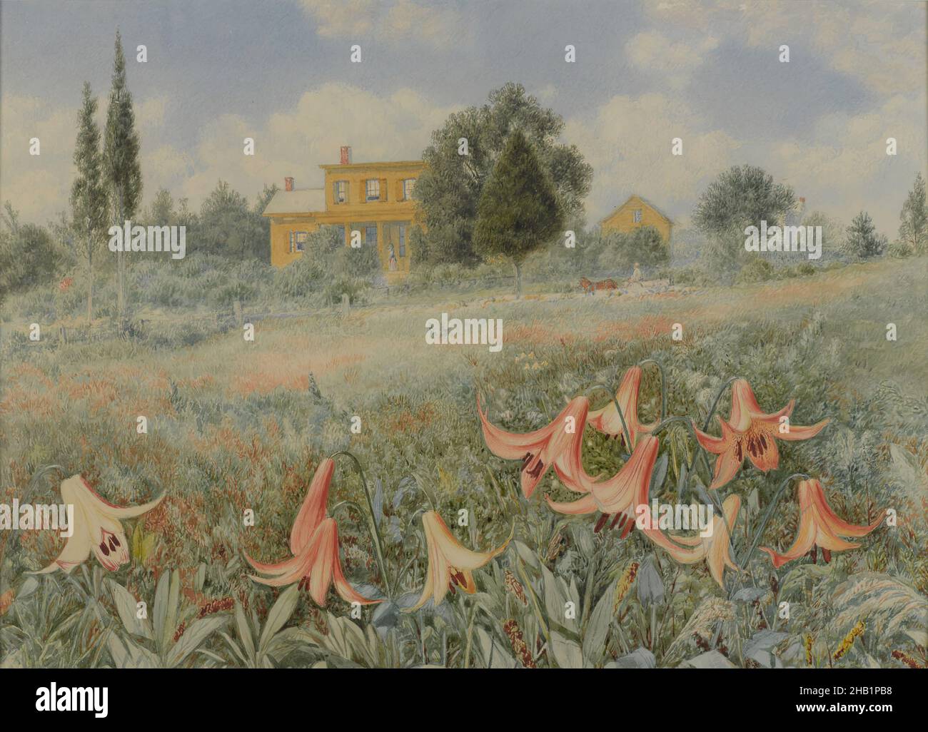 West Nyack, New York, John William Hill, cuisine américaine, 1812-1879,Aquarelle avec traces d'aquarelle opaque sur crayon graphite sur papier vélin de poids moyen, légèrement texturé, 1868, 12 x 16 3/8 po, 30,5 x 41,6 cm, 19th Century, américain, ciel bleu, nuages,Campagne, Lilies de jour, champ, fleurs, herbe,Vert, herbe verte, colline, maison, John William Hill,paysage, nénuphars, nénuphars, prairie, nature,opaque, ciel, été, arbres, état,Aquarelle, West Nyack, West Nyack, New York, jaune Banque D'Images