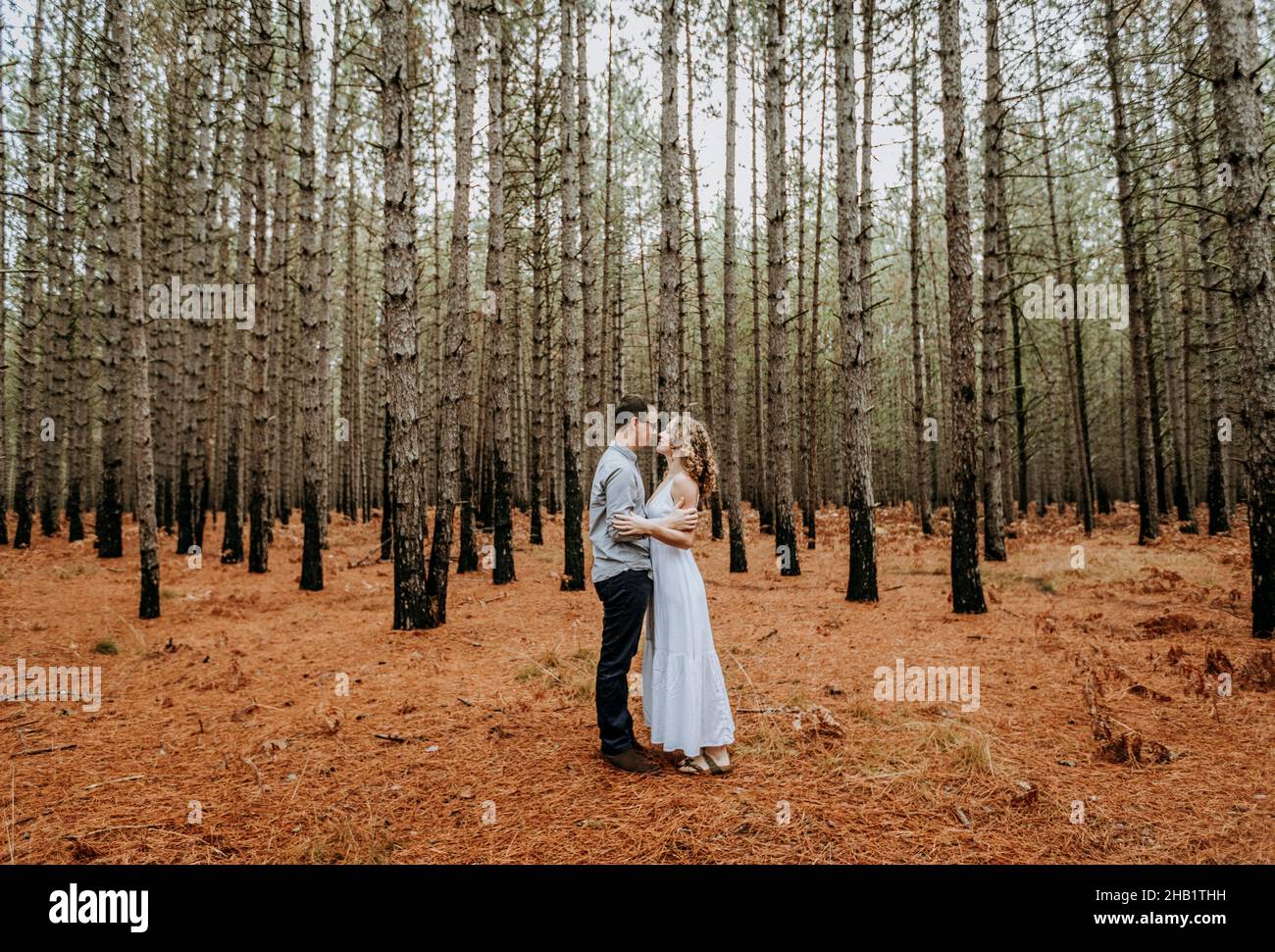 le couple tient des hugs intimes les uns avec les autres dans les forêts de pins Banque D'Images