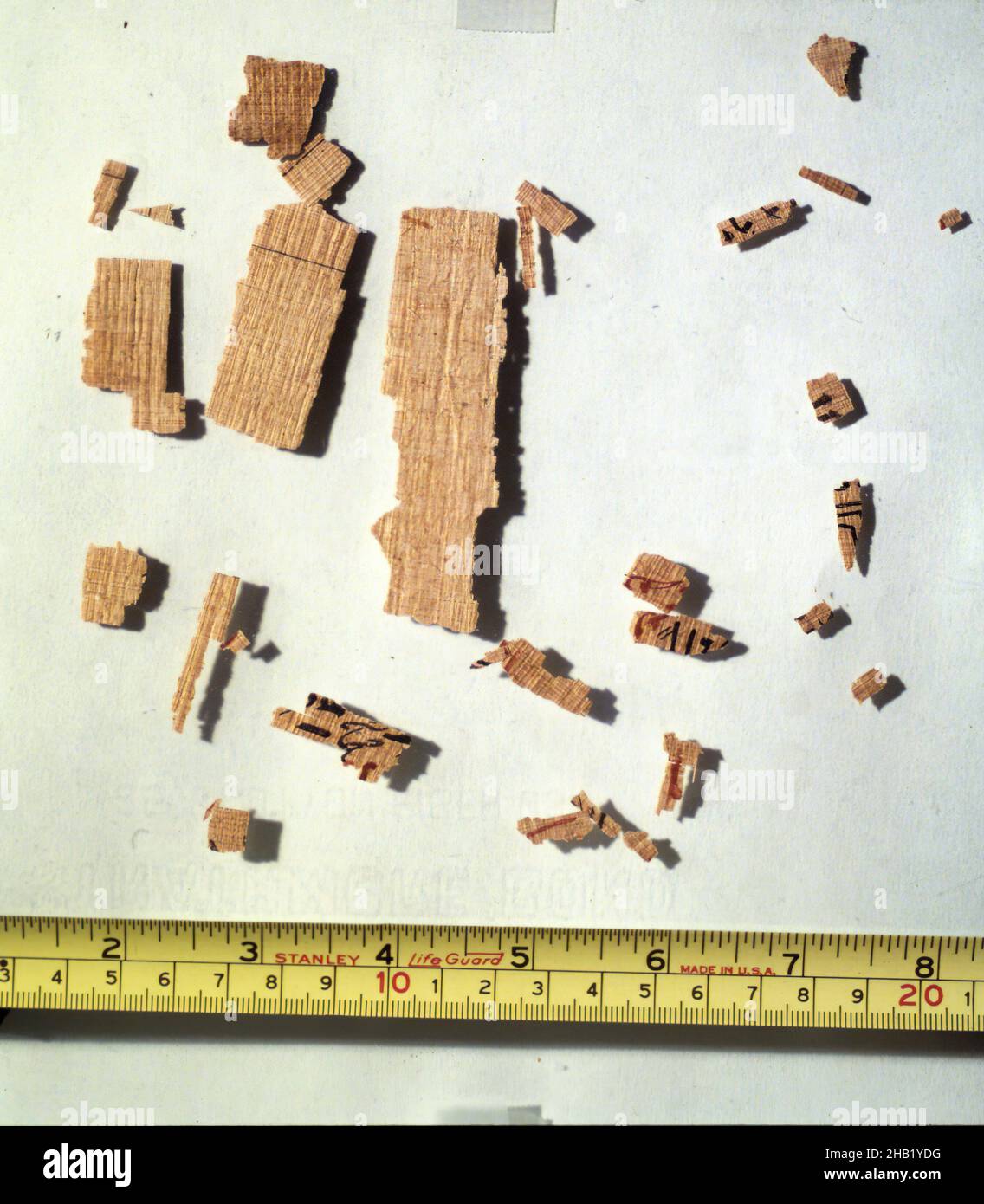 Fragments de Rhind Mathématique Papyrus, Papyrus, encre, ca.1493-1481 B.C. E., Dynasty 18, New Kingdom, fragment le plus grand : 6 5/16 x 3 3/8 po., 16 x 8,5 cm, 18th Dynasty, document, Dynasty 18, Égypte,Egyptien, fragment, New Kingdom, collection de la société historique de New york, papyri, papyrus, Pigment, Rhind Mathématique Papyrus,XVIII dynastie Banque D'Images