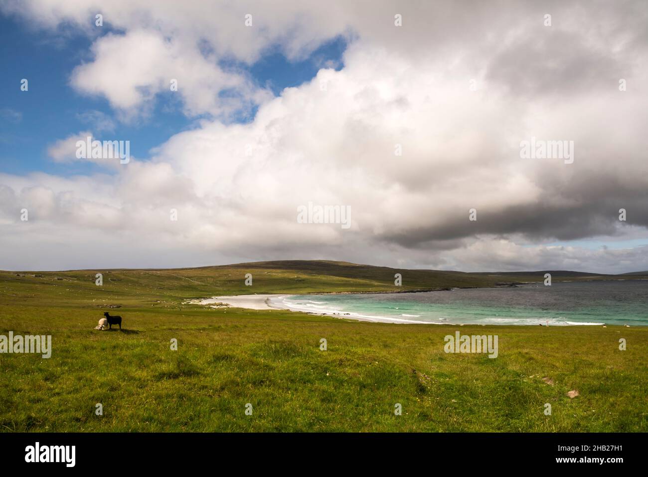 La plage déserte de Sandwick sur la côte est d'Unst, Shetland. Banque D'Images