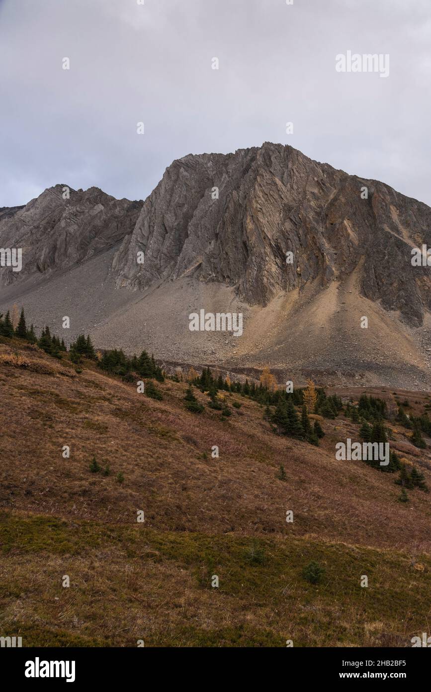Mont Arethusa, Ptarmigan Cirque Trail en automne, Kananaskis, parc provincial Peter Lougheed, Alberta, Canada Banque D'Images