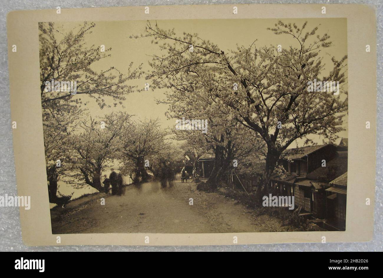 Vue du Japon, photographie argentée d'albumine montée sur carton, Japon, fin 19th-début 20th siècle, avec montage: 4 5/16 x 6 7/16 po, 11 x 16,3 cm Banque D'Images