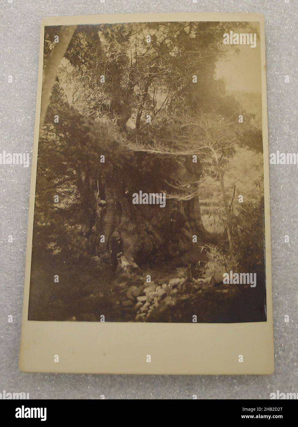 Vue du Japon, photographie argentée d'albumine montée sur carton, Japon, fin 19th-début 20th siècle, avec montage: 4 3/16 x 6 7/16 po, 10,6 x 16,3 cm Banque D'Images