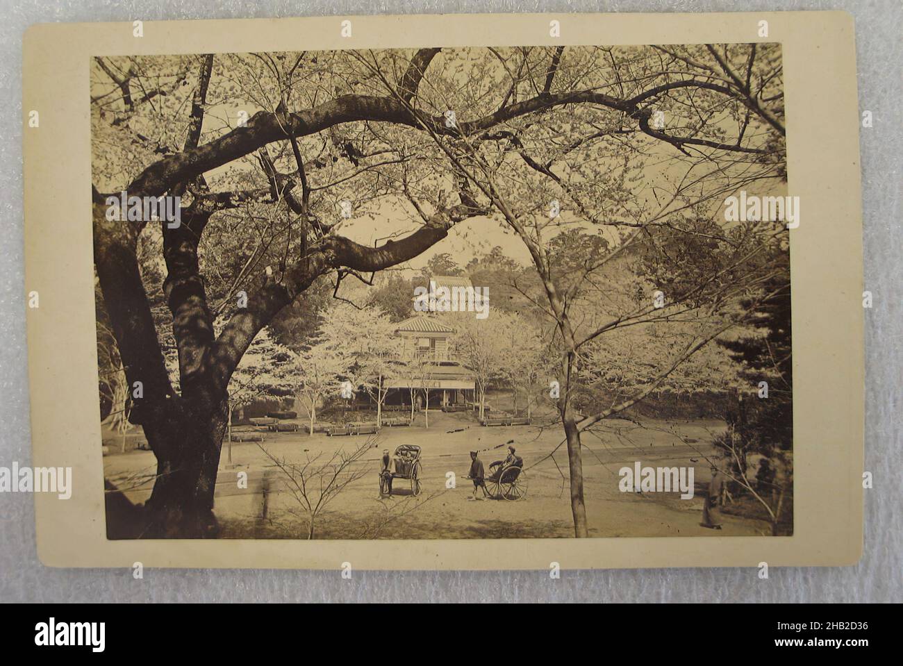 Vue du Japon, photographie argentée d'albumine montée sur carton, Japon, fin 19th-début 20th siècle, avec montage: 4 5/16 x 6 7/16 po, 10,9 x 16,3 cm Banque D'Images