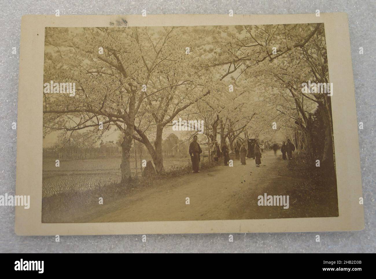 Vue du Japon, photographie argentée d'albumine montée sur carton, Japon, fin 19th-début 20th siècle, avec montage: 4 5/16 x 6 7/16 po, 10,9 x 16,3 cm Banque D'Images