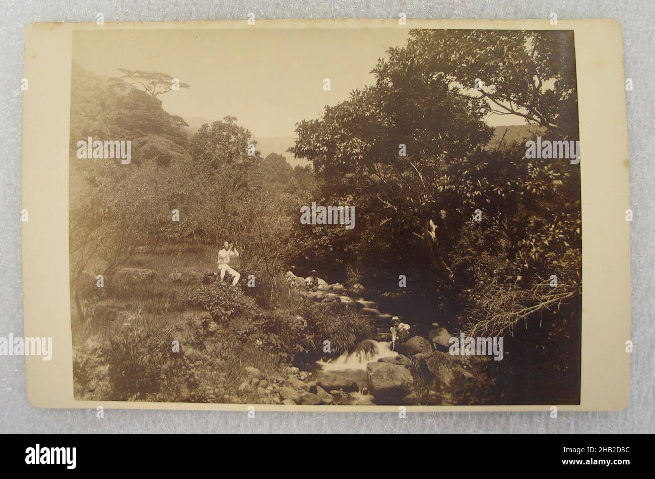 Vue du Japon, photographie argentée d'albumine montée sur carton, Japon, fin 19th-début 20th siècle, avec montage: 4 1/8 x 6 7/16 po, 10,5 x 16,3 cm Banque D'Images