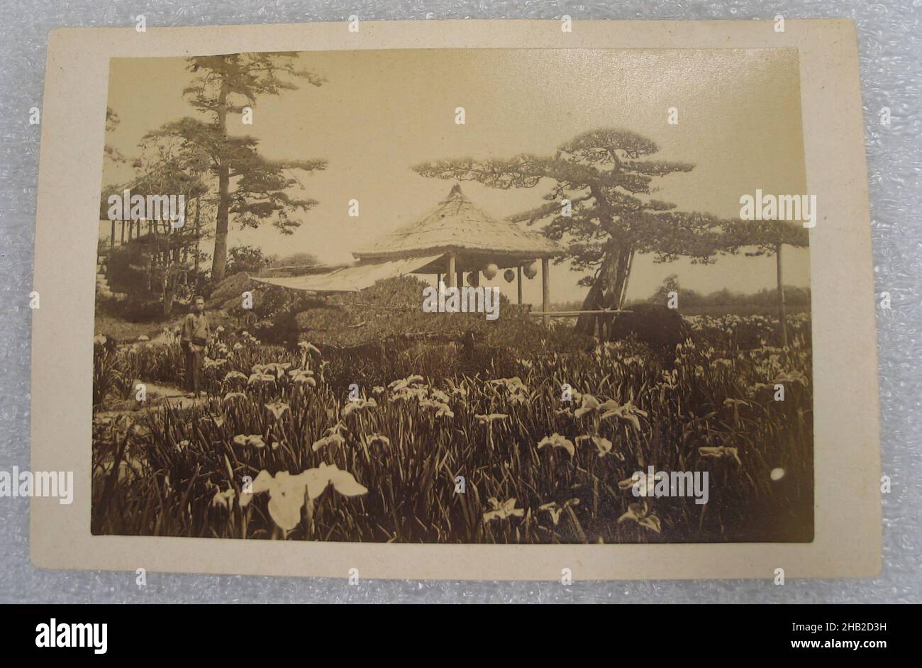 Vue du Japon, photographie argentée d'albumine montée sur carton, Japon, fin 19th-début 20th siècle, avec montage: 4 3/16 x 6 3/8 po, 10,7 x 16,2 cm Banque D'Images