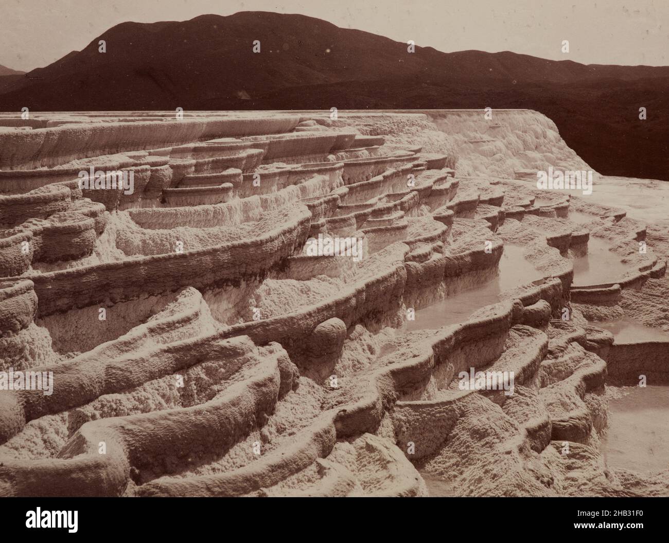 White Terrace - depuis le sommet.De l'album: Land of loveliness New Zealand, Burton Brothers studio, studio de photographie, vers 1890, Dunedin,processus d'albumine Banque D'Images