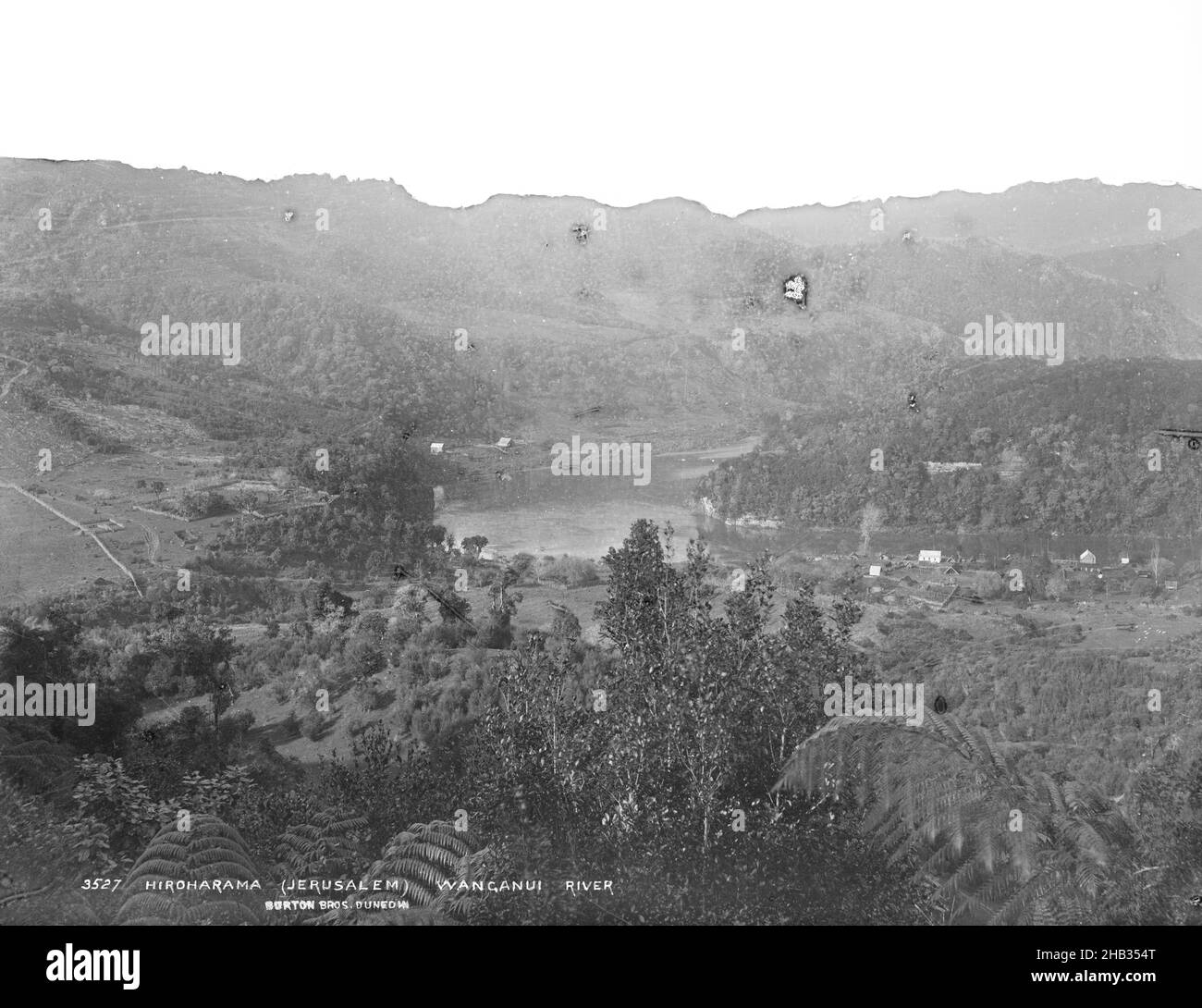 Hiroharama (Jerusalem) Wanganui River, Burton Brothers studio, studio de photographie, Nouvelle-Zélande, processus de plaque de gélatine sèche, vue d'en haut sur le Bush à la rivière Whanganui et aux collines au-delà Banque D'Images