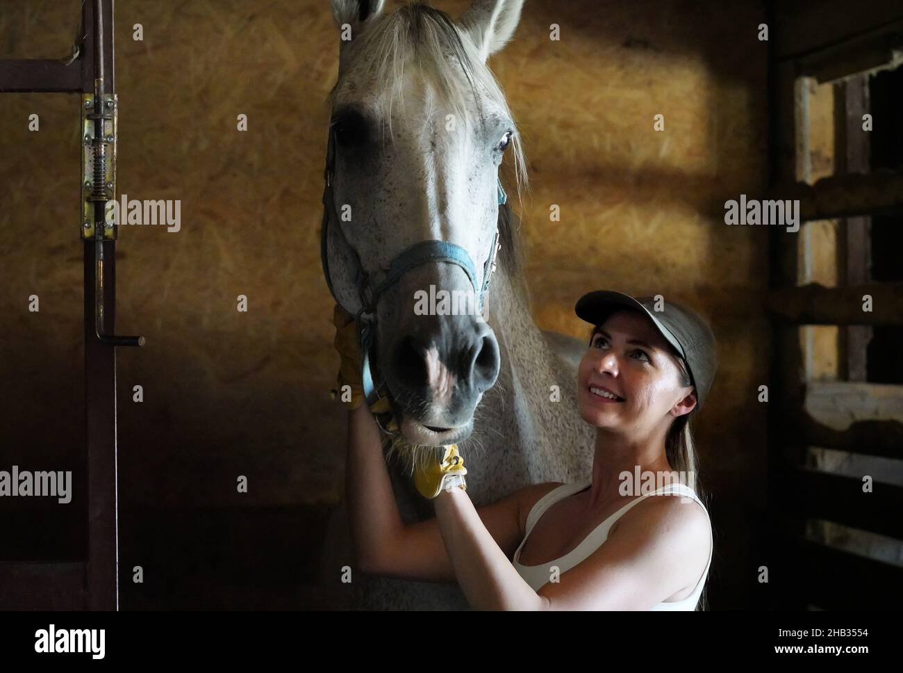 Jeune femme portant des gants d'équitation à la main, nettoyant la tête de cheval à l'intérieur des écuries Banque D'Images