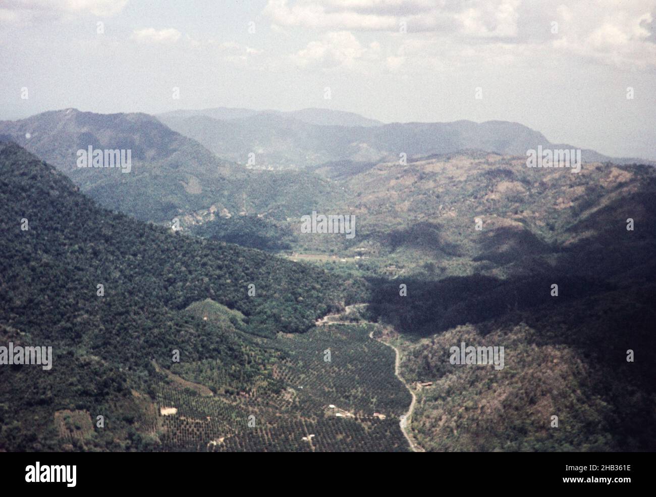 La vallée de Santa Cruz et la route Saddle, notez la plantation d'agrumes en premier plan, Trinidad, c 1962 Banque D'Images