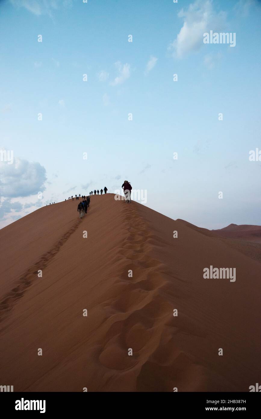 Des personnes dans une rangée marchant sur la Dune 45 dans le désert du Namib.Namibie.Afrique Banque D'Images