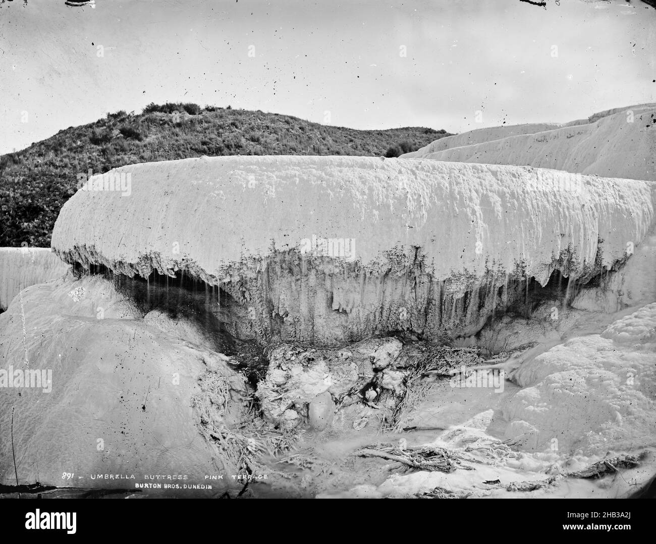 Contrefort parapluie, Pink Terrace, studio Burton Brothers, studio de photographie, Nouvelle-Zélande,photographie en noir et blanc Banque D'Images