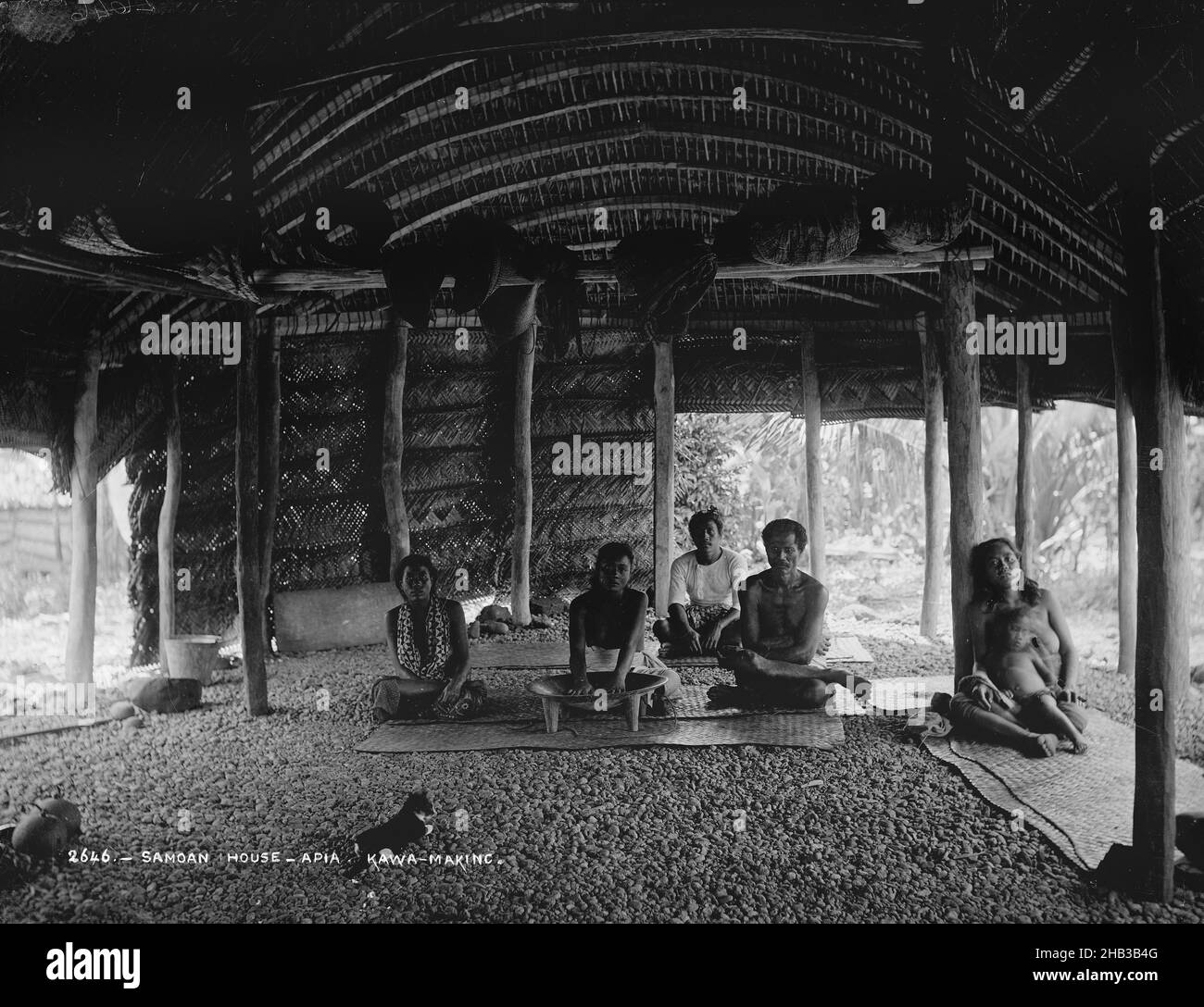 Samoan House, Apia, Kava-making, Burton Brothers studio, studio de photographie,21 juillet 1884, Nouvelle-Zélande, photographie en noir et blanc, intérieur de la grande Fale.Un homme et trois femmes sont assis à pieds croisés sur un tapis tissé au centre, une femme est assise derrière et une femme avec un enfant sur les genoux est assise avec le dos à un poteau à droite.La femme au centre a les mains dans un grand bol de kava.Un chat est au premier plan Banque D'Images
