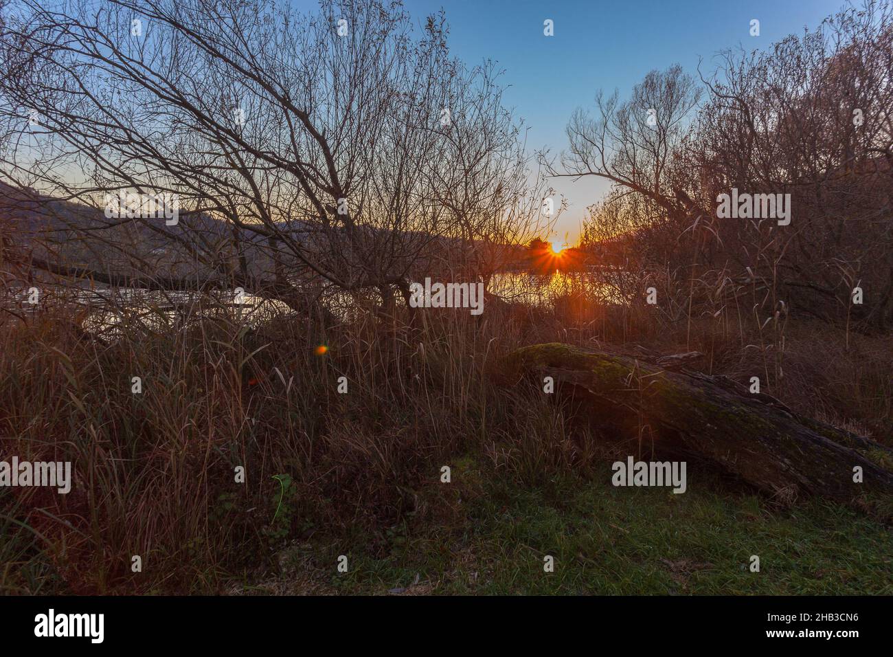 Beau coucher de soleil d'automne sur le lac vu à travers un arbre tombé dans un épaissis Banque D'Images