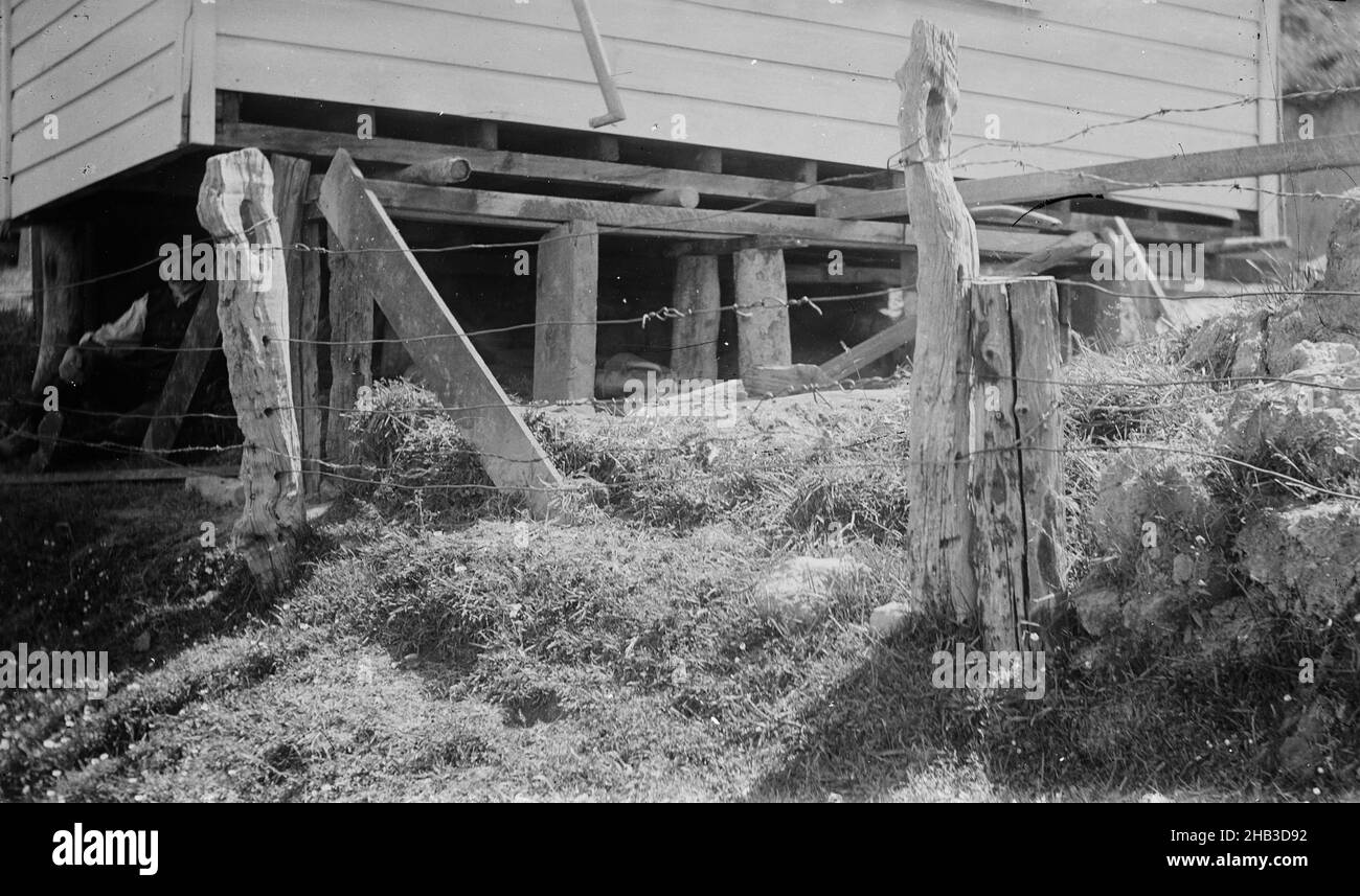 Exposition des bâtiments gouvernementaux et des plats Thorndon, Wellington, studio Burton Brothers, studio de photographie, vers 1880s,Dunedin, photographie en noir et blanc Banque D'Images