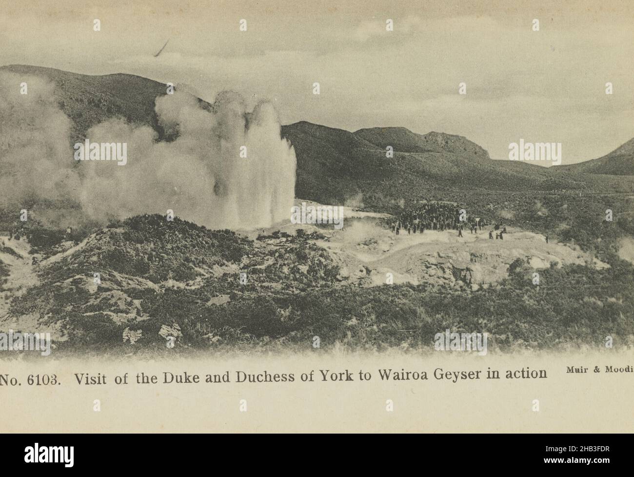 Visite du duc et de la duchesse de York à Wairoa Geyser en action, studio Muir & Moodie, 1901, Bay of Plenty Banque D'Images