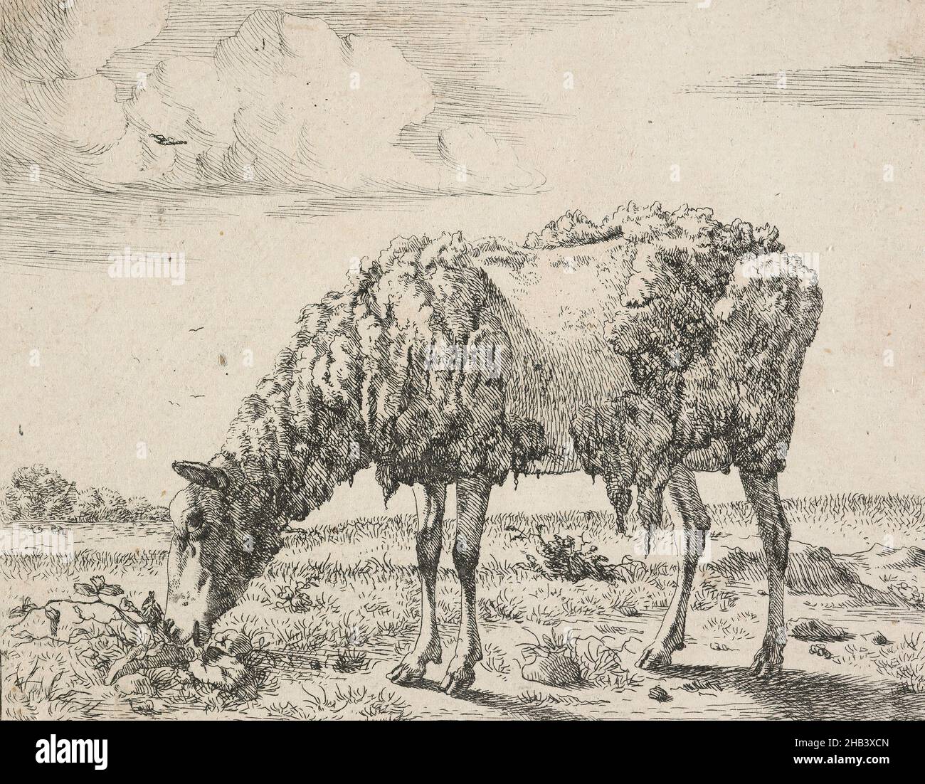 Des vaches et un mouton.Assiette 8: Un mouton de pâturage., Marcus de Bye, artiste, 1664, pays-Bas,Gravure, le graveur néerlandais Marcus de Bye (également de Bije/ de Bie) est peu connu en ce qui concerne son talent et sa prolifération.Il est né à la Haye en 1639 et est mort après 1688.Il est devenu élève de Jacob van der en 1658.Mieux connu comme graveur et graveur qu'un peintre, il a gravé plusieurs séries d'études animales après Paulus Potter et a également produit un certain nombre de gravures originales Banque D'Images