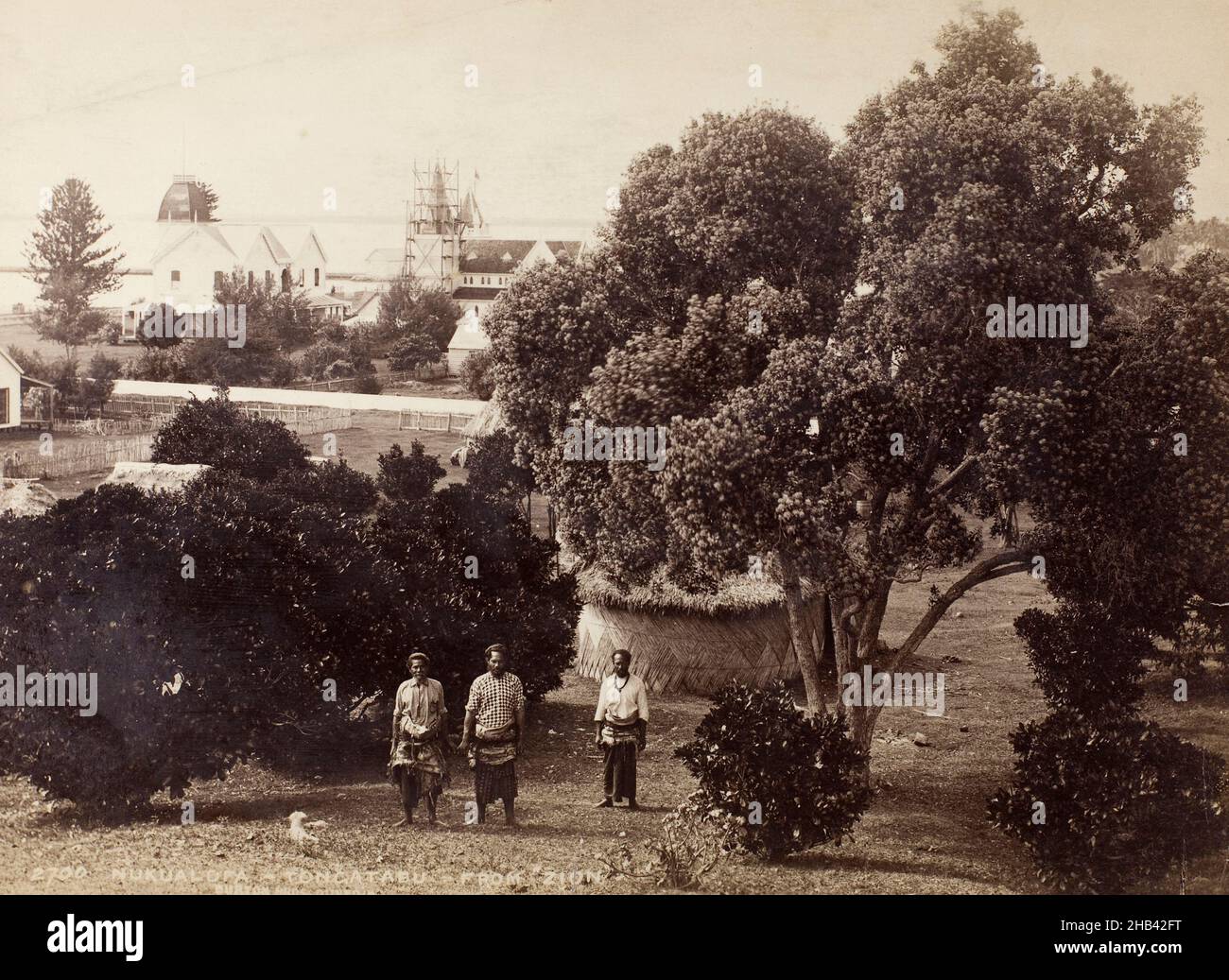 Nukualofa, Tongatabu [Nuku'alofa, Tongatapu] de Zion, studio Burton Brothers, studio de photographie,1884, Dunedin, photographie en noir et blanc Banque D'Images