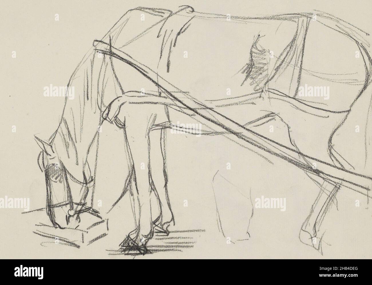 Feuille 7 recto d'un carnet d'esquisses de 27 feuilles, Ébauche de cheval mangeant hors d'un bol, Ferdinand Oldewelt, c.1904 - c.1912 Banque D'Images