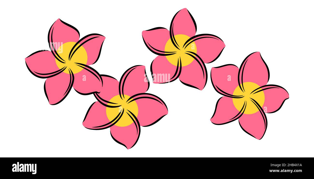 Frangipani ou plumeria fleurs exotiques d'été.Frangipani gravé isolé sur fond blanc.Illustration vectorielle Illustration de Vecteur