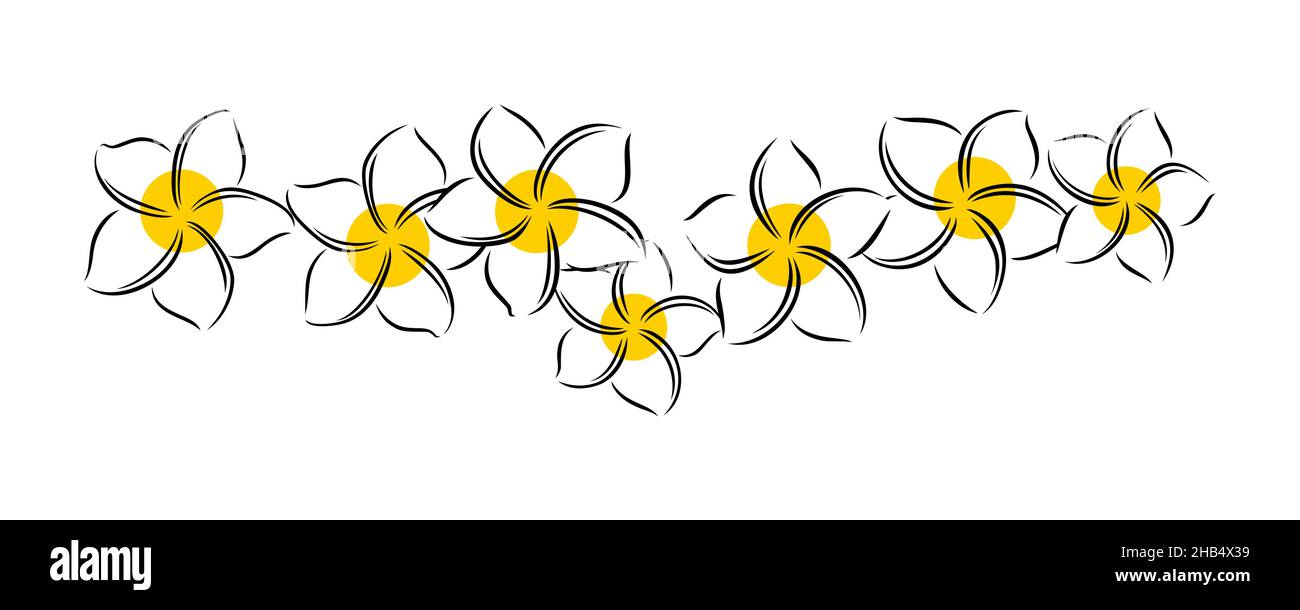 Frangipani ou plumeria fleurs exotiques d'été.Frangipani gravé isolé sur fond blanc.Illustration vectorielle Illustration de Vecteur
