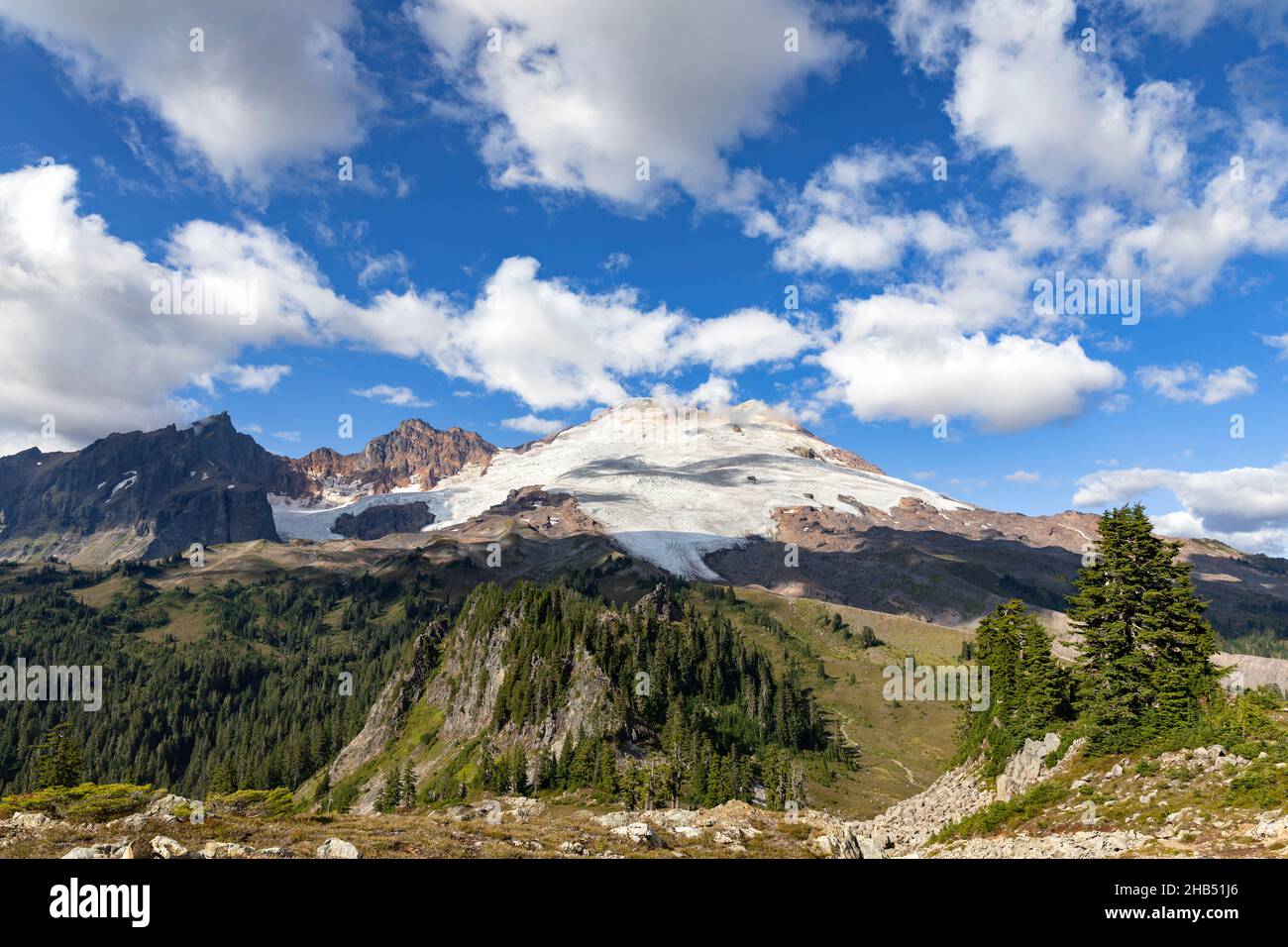 WA20542-00....WASHINGTON - vue sur le mont Baker depuis les prés près de Pocket Lake dans l'aire de loisirs nationale de Mount Baker, Banque D'Images