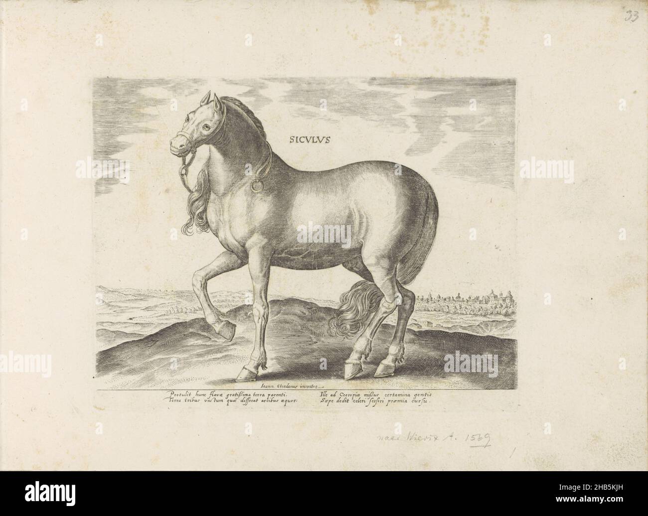 Cheval de Sicile, Siculus (titre sur objet), races de chevaux des écuries royales de Don Juan d'Autriche (titre de série), Equile, in quo omnis generis generosissi: Morum equorum ex varijs orbis partibus insignis delectus (...)(Titre de la série sur l'objet), Un cheval sicilien dans un paysage.L'imprimé fait partie d'un album., imprimeur: Anonyme, Hieronymus Wierix, Venise, 1624 - avant 1648, papier, gravure, hauteur 201 mm × largeur 256 mm Banque D'Images