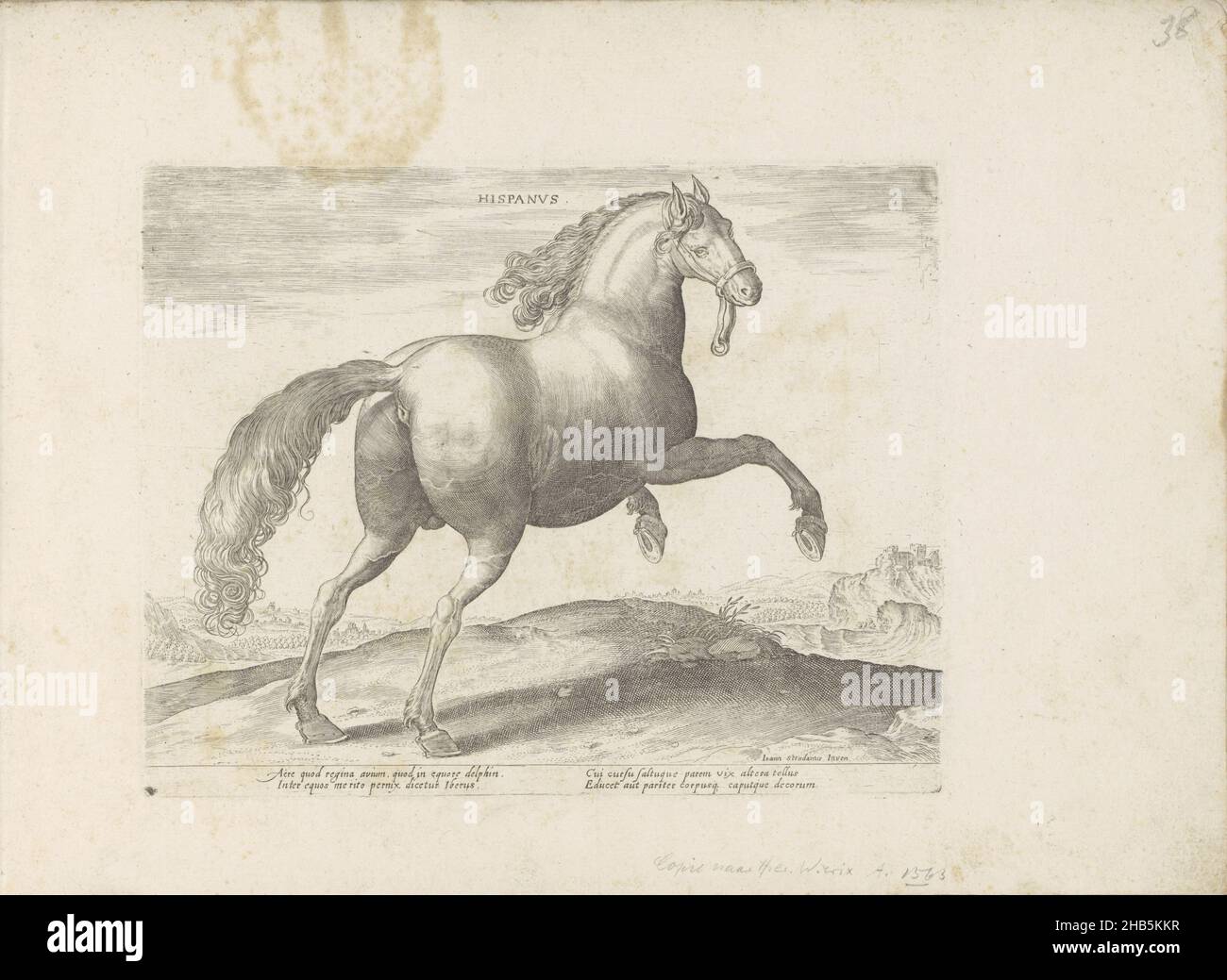 Cheval d'Espagne, Hispanus (titre sur objet), race de cheval des écuries royales de Don Juan d'Autriche (titre de série), Equile, in quo omnis generis generosissi: Morum equorum ex varijs orbis partibus insignis delectus (...)(Titre de la série sur l'objet), Un cheval espagnol dans un paysage.L'imprimé fait partie d'un album., imprimeur: Anonyme, Hieronymus Wierix, Venise, 1624 - avant 1648, papier, gravure, hauteur 202 mm × largeur 257 mm Banque D'Images