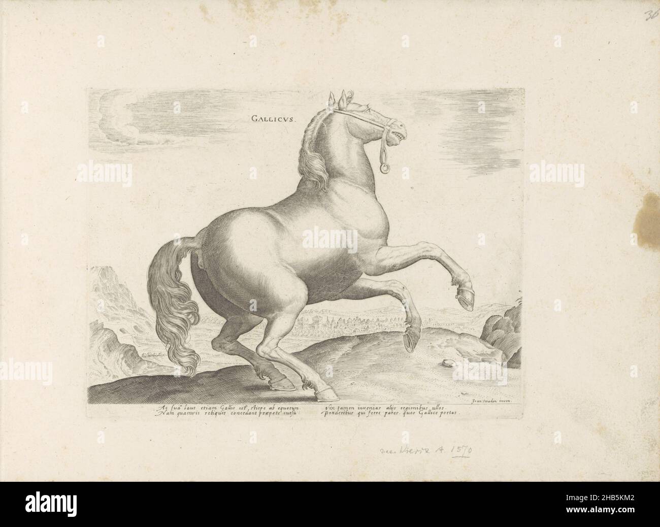 Cheval de France, Gallicus (titre sur objet), race de cheval des écuries royales de Don Juan d'Autriche (titre de série), Equile, in quo omnis generis generosissi: Morum equorum ex varijs orbis partibus insignis delectus (...)(Titre de la série sur l'objet), Un cheval français dans un paysage.L'imprimé fait partie d'un album., imprimeur: Anonyme, Hieronymus Wierix, Venise, 1624 - avant 1648, papier, gravure, hauteur 196 mm × largeur 260 mm Banque D'Images
