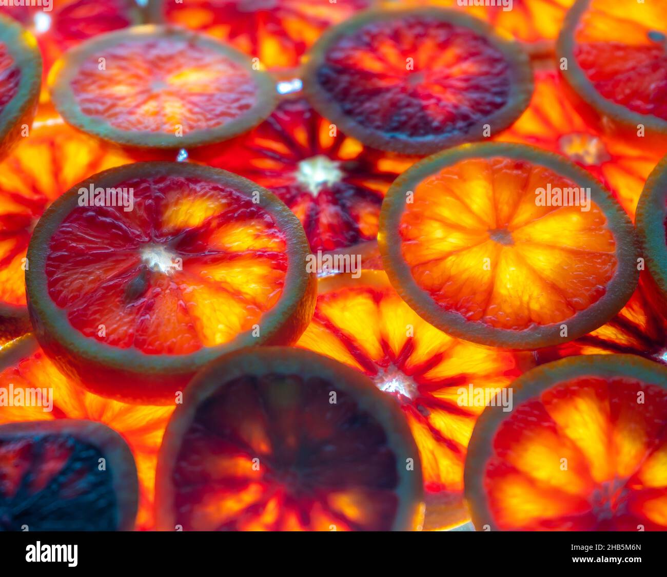 Fond de fruit orange rouge. Tranches d'orange juteuse. Nourriture. Concept d'été. Gros plan sur la lumière. Translucide. Banque D'Images Fond de fruit orange rouge. Tranches d'orange juteuse. Nourriture. Concept d'été. Gros plan sur la lumière. Translucide. Banque D'Images