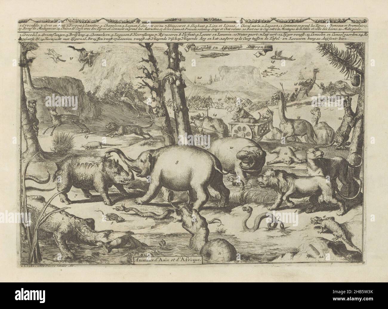 Animaux asiatiques et africains, animaux asiatiques et africains, animaux d'Asie et d'Afrique (titre sur objet), les Indes Orientales et Occidentales et autres lieux (titre de série), Paysage avec animaux asiatiques et africains.Au premier plan à gauche, un homme est dévoré par un crocodile.Le grand serpent à côté est également une proie dévorante.La scène comprend un serpent spectaculaire, camelion, iguana, rhinocéros, éléphant,lion et lioness, hippopotame, sloth, tigre, chameau,cerf et centipede.Dans le ciel poisson volant et un chat volant.En arrière-plan à droite, un lion et un autruche sont capturés.Avec une légende Banque D'Images