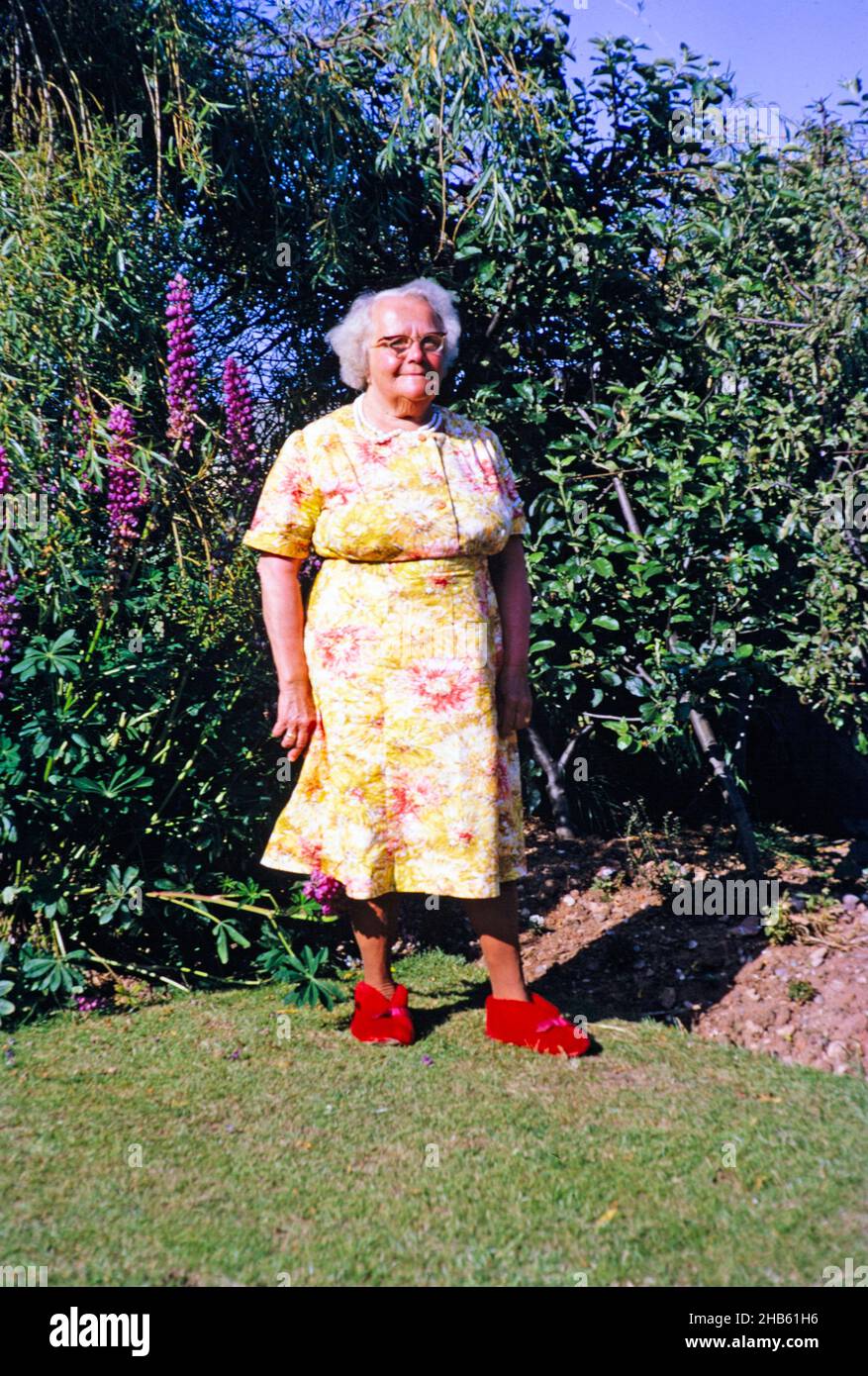 Portrait de famille grand-mère pleine longueur en robe florale debout dans  le jardin, culture britannique 1967 portant des chaussons rouges Photo  Stock - Alamy