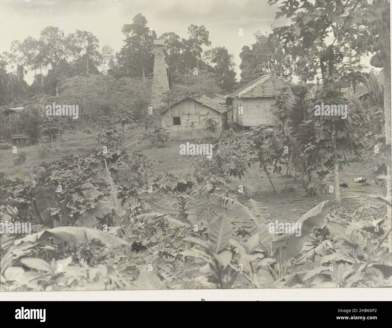 Derrick entre maisons, Une derrick sur une propriété avec quelques maisons avec des plantes et des arbres au premier plan.Photo dans l'album photo sur l'extraction de pétrole à Bornéo par la Royal Dutch Petroleum Company (KNPM) dans les années 1903-1907., anonyme, Kalimantan, 1903 - 1907, papier,imprimé gélatine argent, hauteur 215 mm × largeur 280 mm hauteur 385 mm × largeur 440 mm Banque D'Images