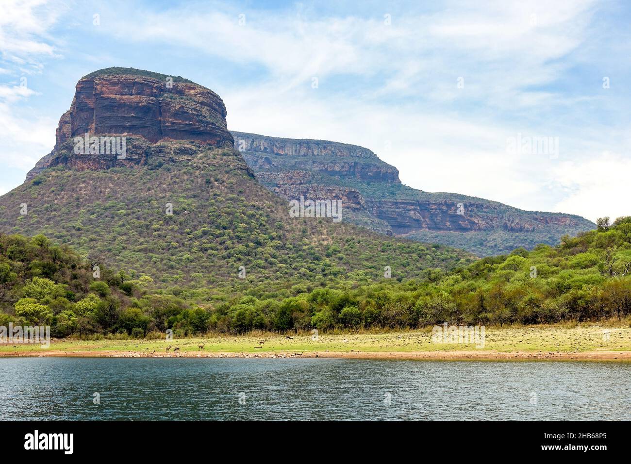 Vue panoramique sur le Blyde River Canyon, Mpumalanga, Afrique du Sud Banque D'Images