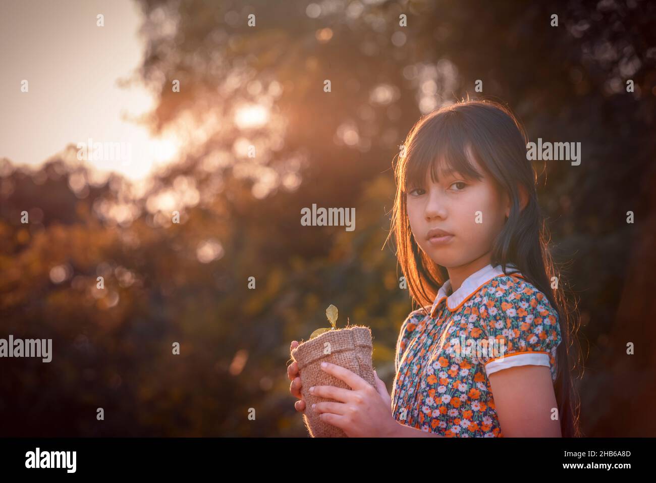 Jeune plante et fille.Petite fille mignonne donner une petite plante au soleil.Bonheur la nouvelle vie sauve la terre et le concept d'écosystème. Banque D'Images