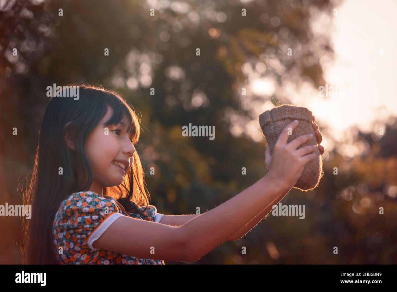 Jeune plante et fille.Petite fille mignonne donner une petite plante au soleil.Bonheur la nouvelle vie sauve la terre et le concept d'écosystème. Banque D'Images