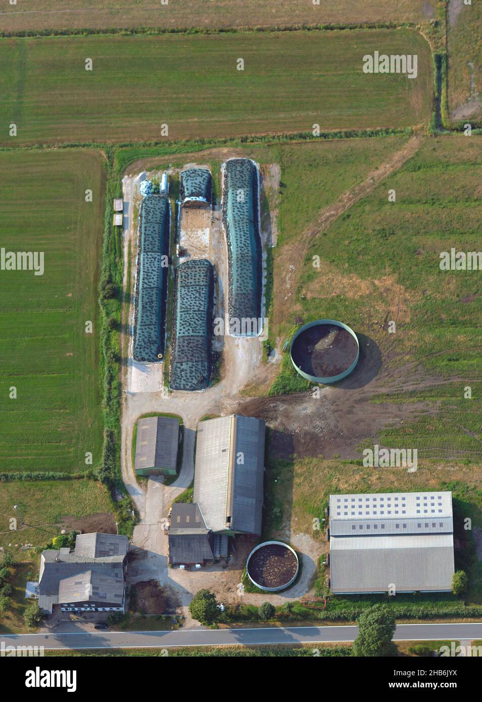 Ferme agricole d'élevage dans l'Elbmarsch avec écuries, tas d'ensilage et réservoirs de lisier, vue aérienne, Allemagne, Schleswig-Holstein, Wilster Marsch, Banque D'Images