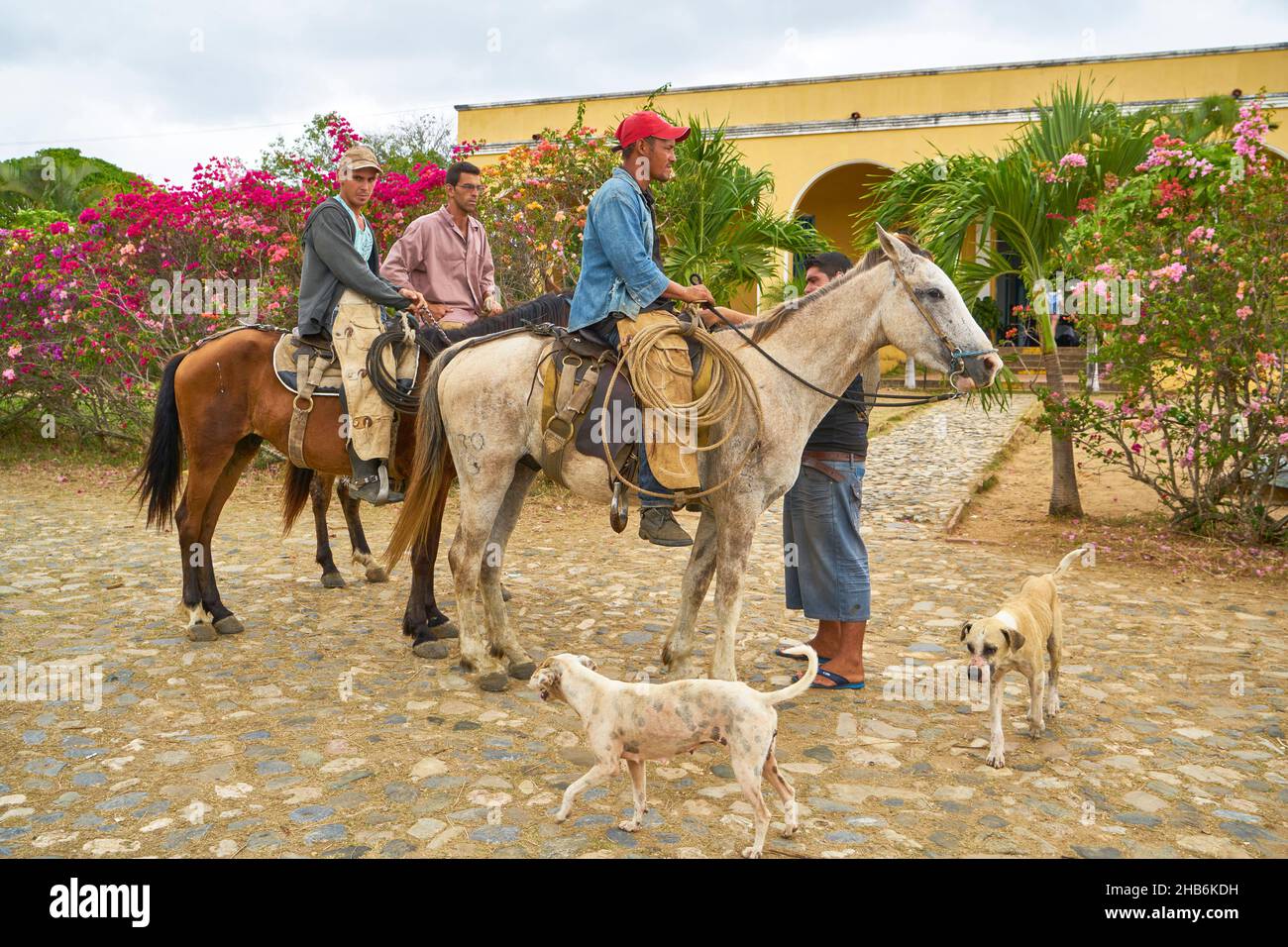 Campesinos, ouvriers agricoles reviennent de travail sur leurs chevaux, Cuba, Vallée de los Ingenios, Sancti Spiritus, Hacienda Iznaga Banque D'Images