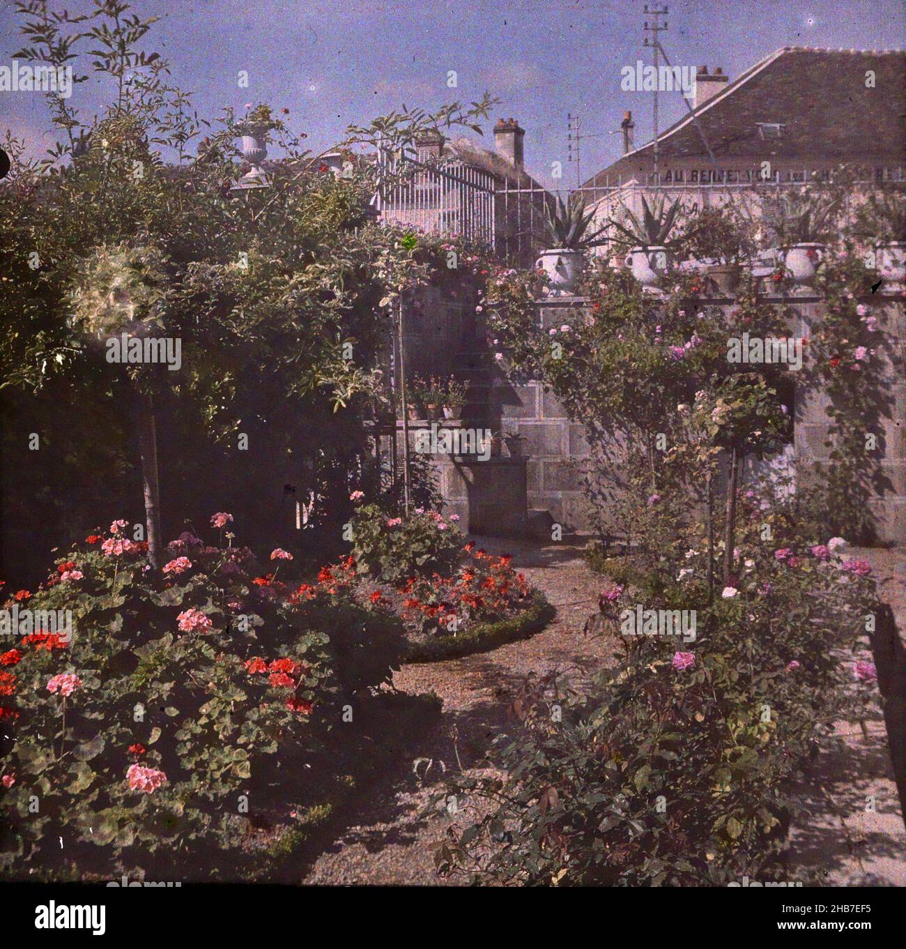 Jardin clos avec plantes à fleurs et arbustes, anonyme, c.1910 - c.1940, verre, hauteur 80 mm × largeur 160 mm Banque D'Images