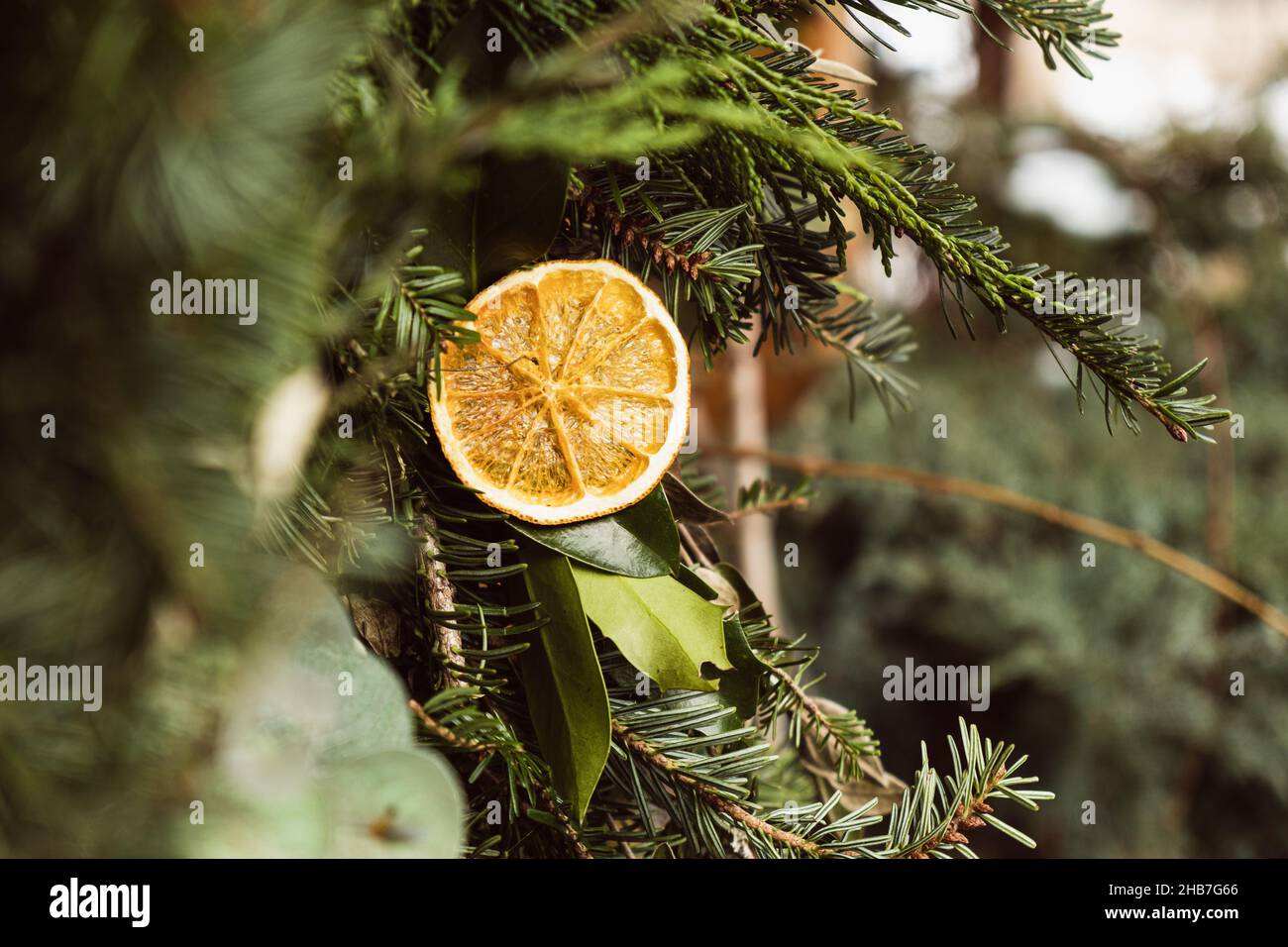 Couronne de Noël faite à la main en branches d'arbre à feuilles persistantes, fruits secs, oranges, cônes de pin Banque D'Images