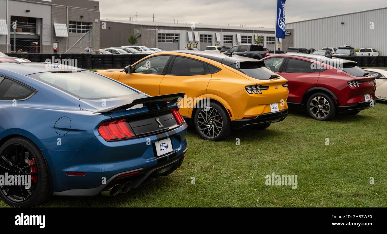 PONTIAC, MI/USA - 22 SEPTEMBRE 2021 : a 2021 Three Ford Mustangs (Shelby, Mach-E) à Motor Bella, au Concourse M1, près de Detroit, Michigan. Banque D'Images