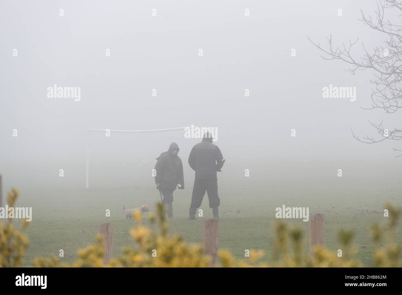 Northampton, Royaume-Uni, Météo.17th décembre 2021.La brume s'est enroulée au-dessus d'Abington Park en milieu d'après-midi, ce qui la rend froide et humide pour les gens qui sortent chiens Keith J Smith./Alamy Live News. Banque D'Images